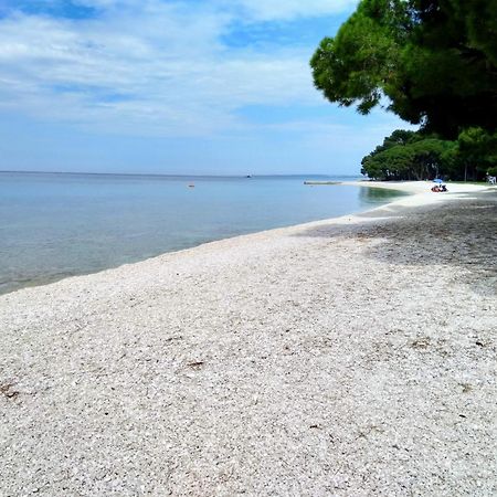 Hotel Villa Vera 2 Fažana エクステリア 写真