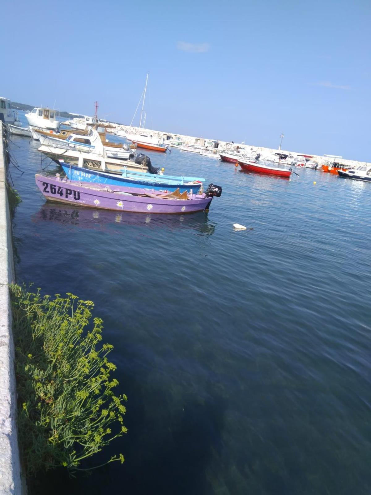 Hotel Villa Vera 2 Fažana エクステリア 写真